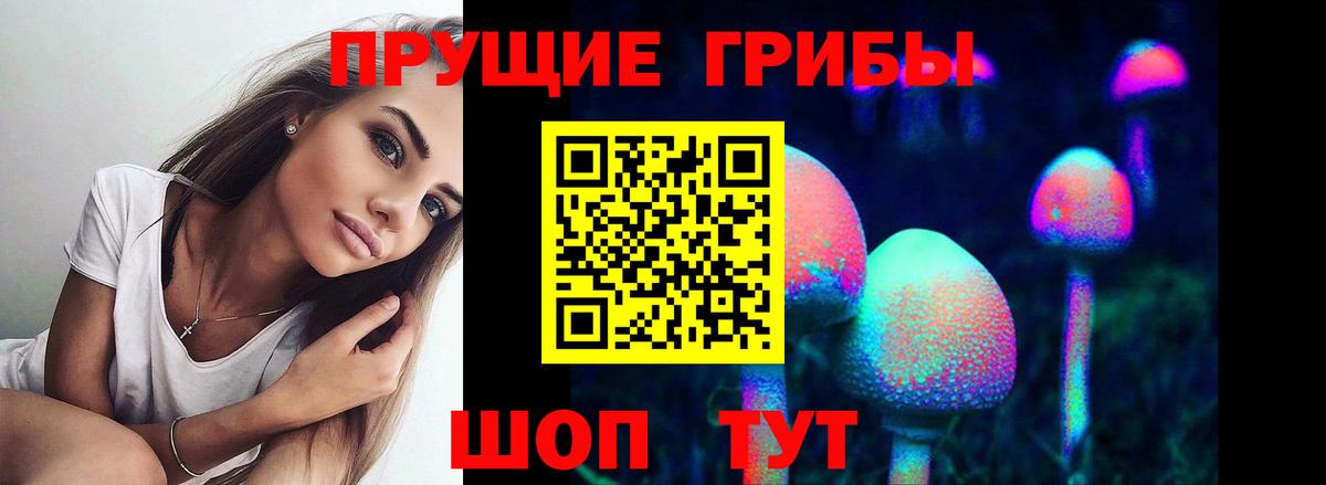Галлюциногенные грибы Psilocybine cubensis Ирбит