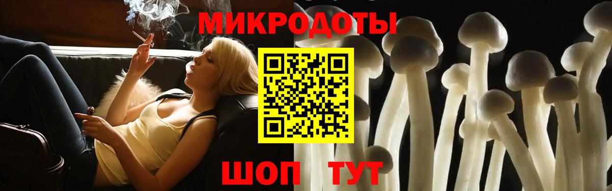 закладки  Псилоцибиновые грибы Psilocybe  Вход с VPN  Ирбит 